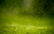 春天下雨的图片 绿色桌面壁纸