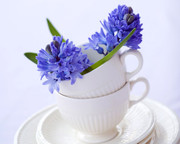 紫蓝色花朵图片 餐厅挂画素材