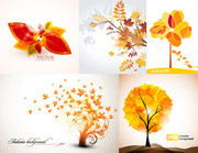 秋天图片素材 植物叶子图片