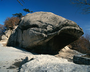 漂亮的黄山奇石图片 安徽黄山石头摄影