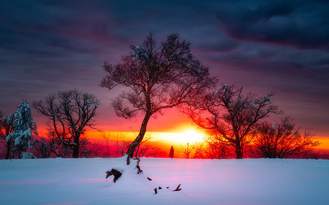 冬天雪地风景图片素材