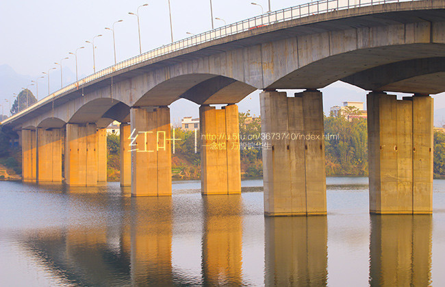 柳州阳和大桥图片