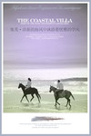 海边骑马的情侣图片 创意地产广告