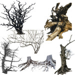 干枯的树木PSD素材