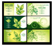 环保卡片素材 绿色植物矢量图