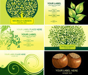 植物图案素材 绿色卡片