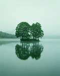 晨雾中的湖泊图片 