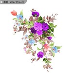 花卉PSD素材 彩绘花朵