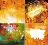 枫叶背景图片 秋天海报素材