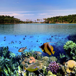 海洋馆生物图片 海底世界素材