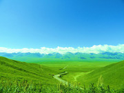 新疆风景图片 葱绿的春天图片