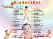婴儿各月龄发育指标对照图