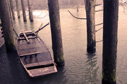 水中木船摄影图片