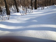 冬季雪地图片素材