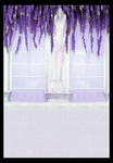 影楼背景墙图片素材 紫色花藤