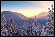 雪松景观图片素材 深山冬景图片
