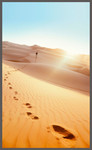 沙漠上的脚印高清图片