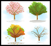 四季树木图片素材