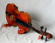秋天的提琴图片