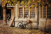 落叶和自行车图片