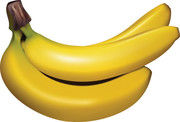 逼真的手绘香蕉图片