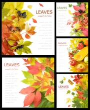秋天枫叶边框图片