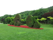 创意绿色出行植物雕塑摄影