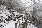 冬天张家界风景图片