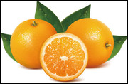 矢量橙子图片