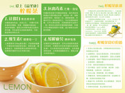 养生茶宣传折页设计