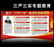 ʵ罨չ