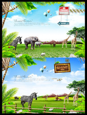 野生动物宣传海报