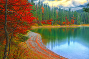 湖边秋天风景