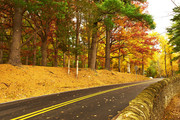 秋天公路图片