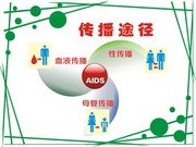 艾滋病的传播途径宣传画