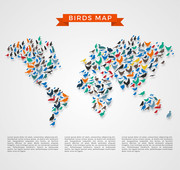鸟组成的世界地图
