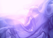 紫色纱巾图片