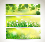 绿色植物banner背景图片