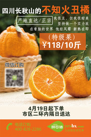丑橘宣传海报