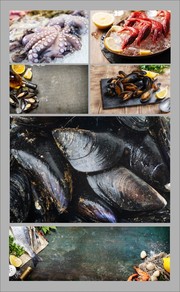 海鲜美食图片下载