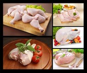 鸡肉食材图片