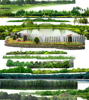 园林植物效果图图片