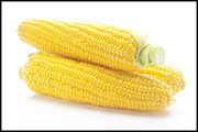 新鲜玉米摄影高清图片素材