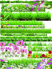 花草景观设计图片素材