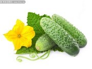 新鲜黄瓜蔬菜图片素材