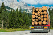 木材运输摄影图片下载
