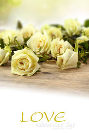 黄色玫瑰花高清图片素材