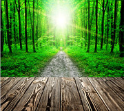 木板与森林风景背景图片素材