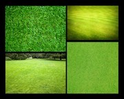 绿色草坪高清背景图片素材