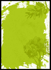 绿色橄榄背景图片下载